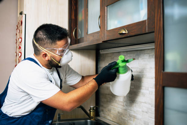 Best Best Pest Control Companies  in Thousand Palms, CA