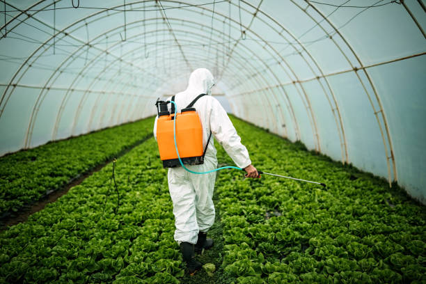 Best Residential Pest Control  in Thousand Palms, CA