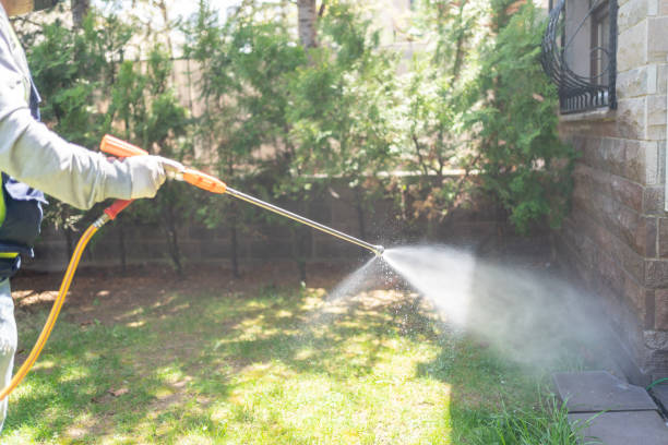 Best Pest Inspection Near Me  in Thousand Palms, CA
