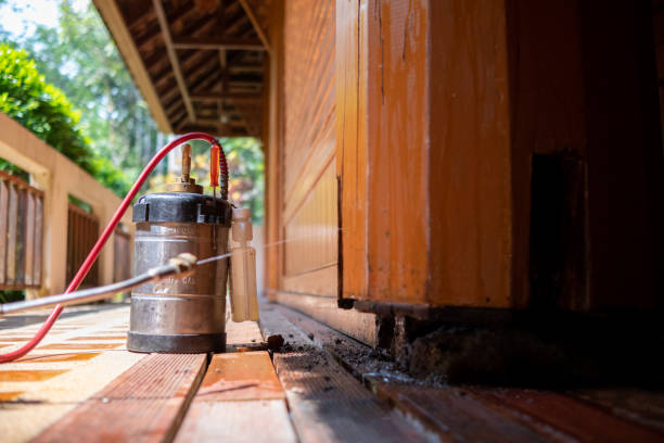 Best Mosquito Control Services  in Thousand Palms, CA