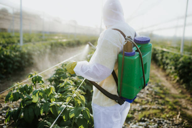 Best Wildlife Control Services  in Thousand Palms, CA